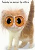 Funny Pic - Why cats and caffeine don't match.jpg