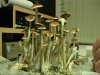 DSC00026.JPG