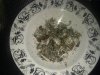 IMG_20111004_185559.jpg