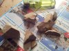 20160321_214142.jpg