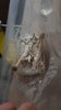 IMG-20190528-WA0001.jpeg