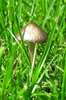 20190601_105902.jpg
