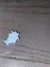 IMG_8579.jpeg