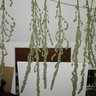 Wietjevanpietje