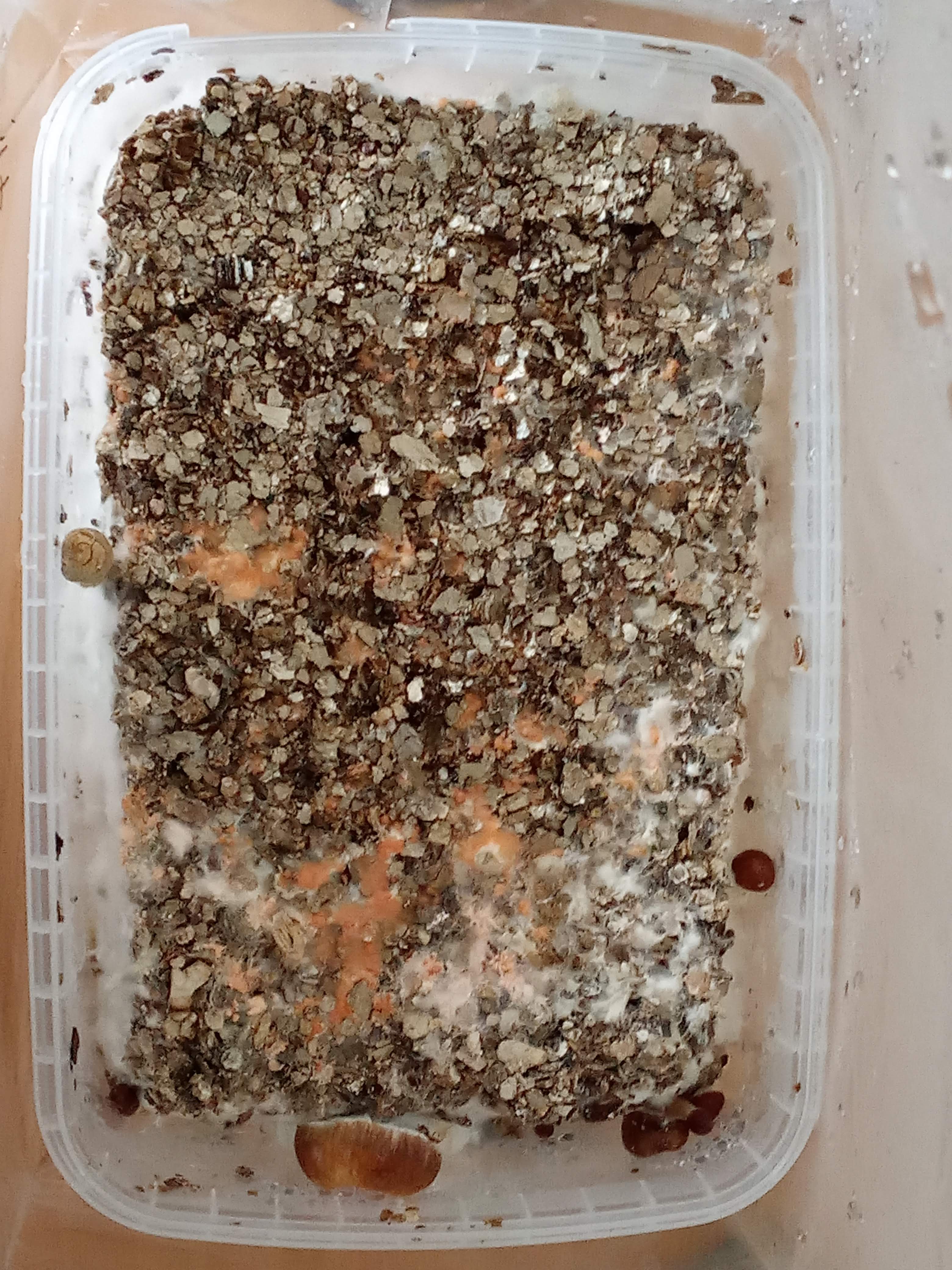 IMG-20190814-180838.jpg